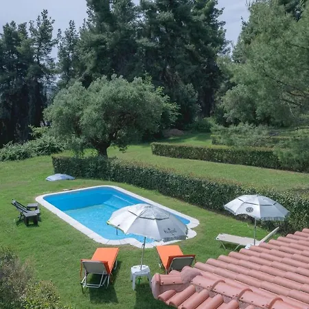 Stone Made Private Pool Vilă *